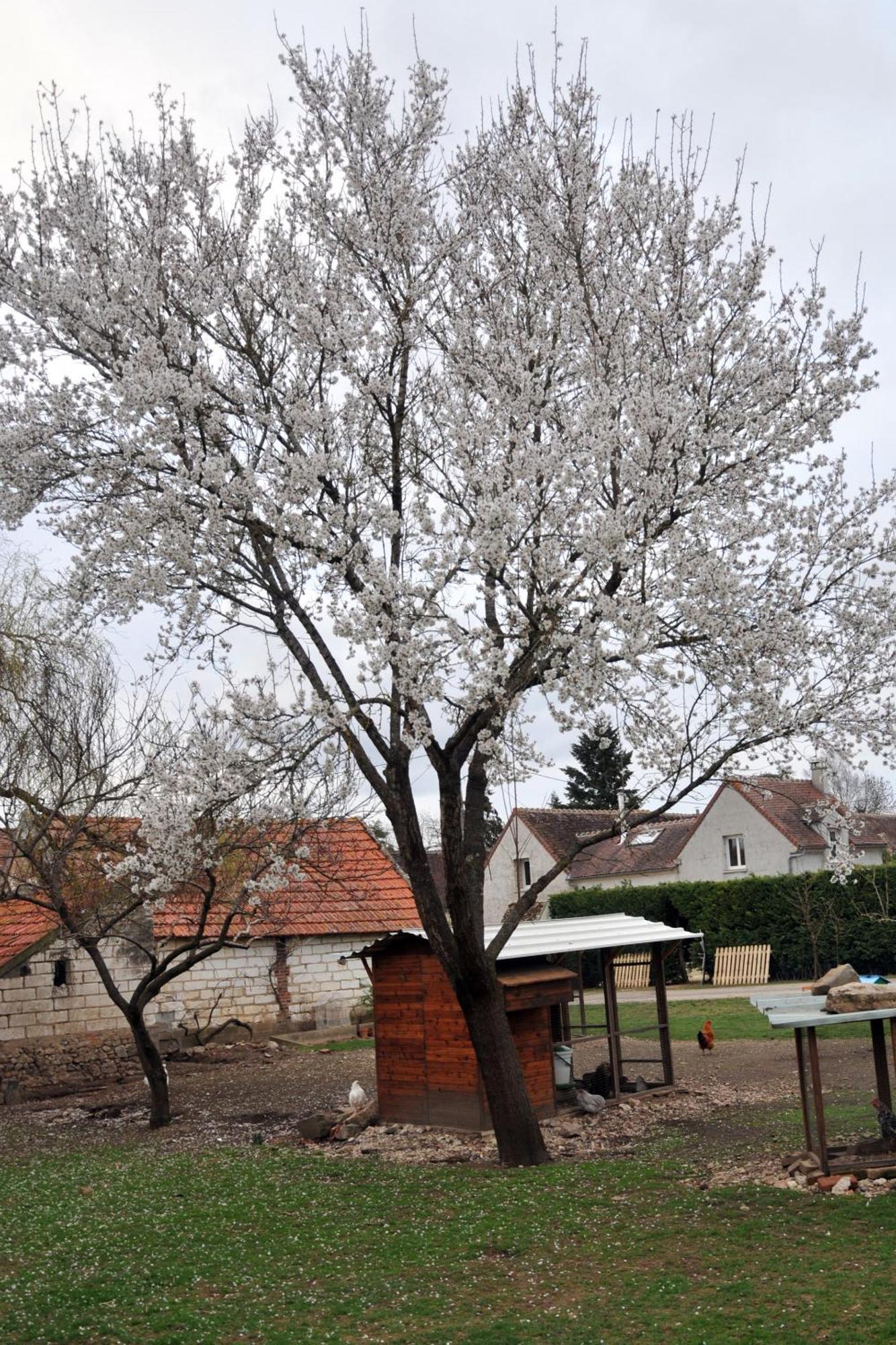 La Ferme De Flo' Evry (Yonne) Exterior foto