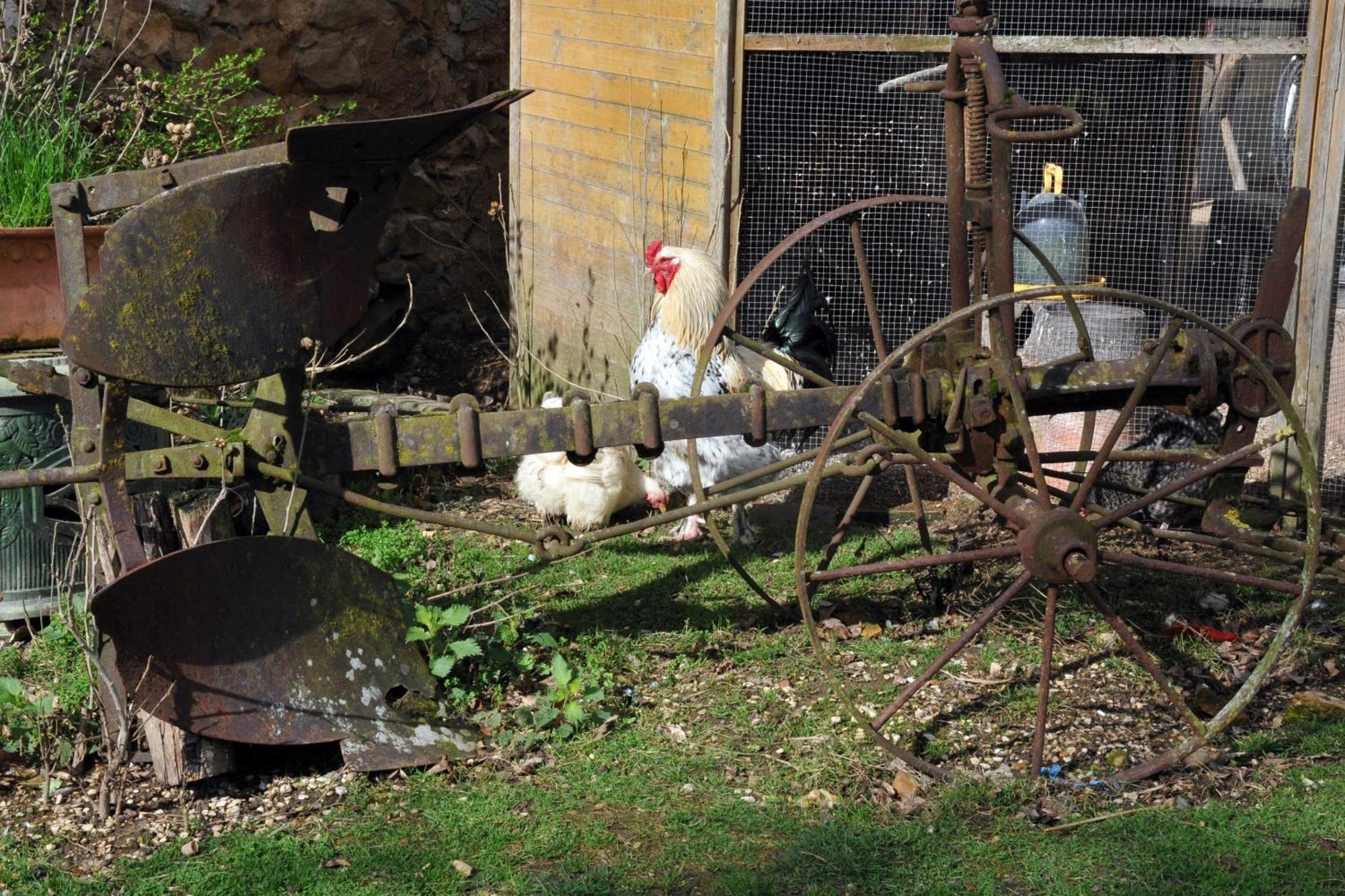 La Ferme De Flo' Evry (Yonne) Exterior foto
